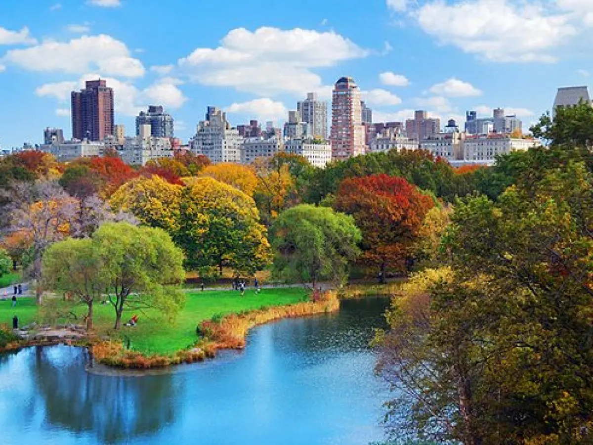 new york viajes organizados