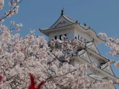 <span class="orderby">20260328</span>Japón Total | Especial Sakura y Semana Santa