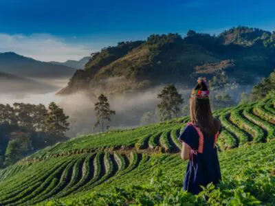 <span class="orderby">20260328</span>Vietnam Total | Especial SEMANA SANTA