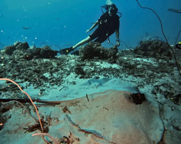 viajes de buceo en indonesia