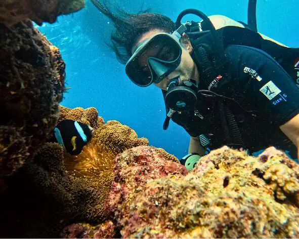 viajes de buceo en maldivas