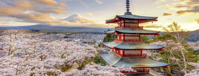viajes asia grupo japon