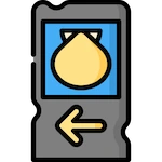 camino de santiago