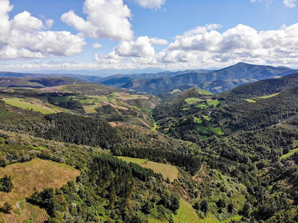viaje organizado camino de santiago