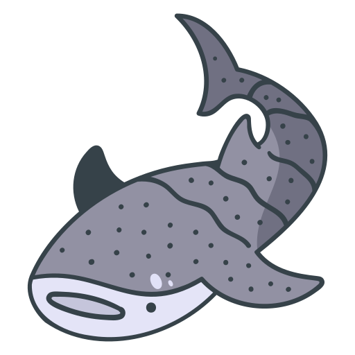 tiburon ballena