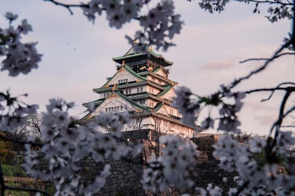 templos japoneses