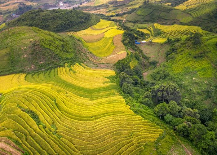 sapa vietnam