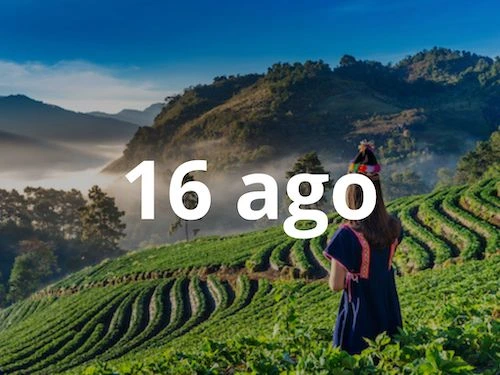 portada vietnam