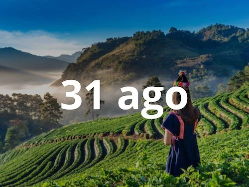 portada vietnam