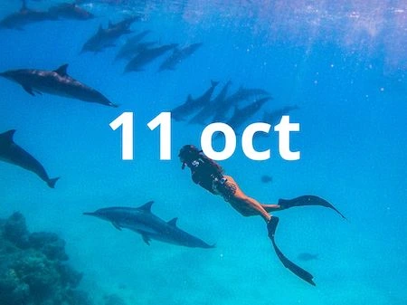 <span class="orderby">20251011</span>Maldivas: Paraíso azul turquesa | 11 – 18 oct