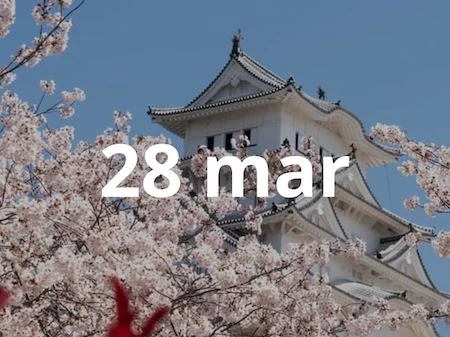portada japon sakura