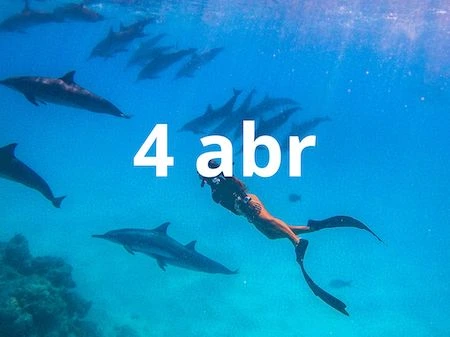 portada maldivas
