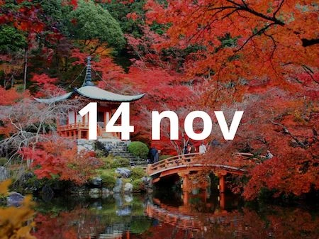 <span class="orderby">20261114</span>Japón Total | Especial MOMIJI