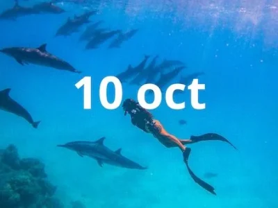 <span class="orderby">20261010</span>Maldivas: Paraíso azul turquesa | 10 – 17 oct