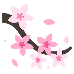 cerezos en flor sakura